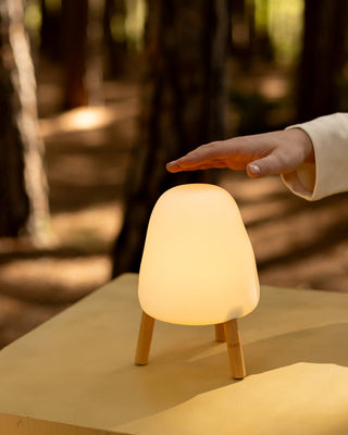 SPECIAL PRICES | Iluminación