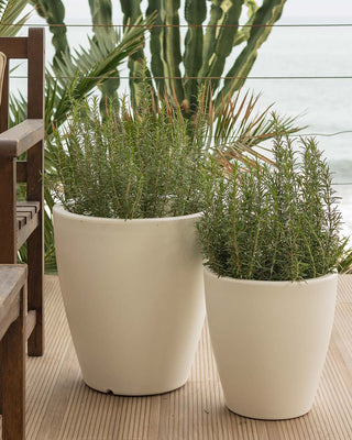 SPECIAL PRICES | Macetas y maceteros