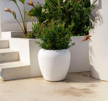 Macetero redondo ARECA 80