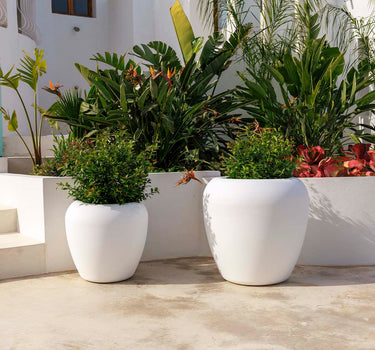 Macetero redondo ARECA 80