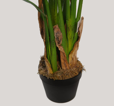 AVE DEL PARAÍSO 135 CM