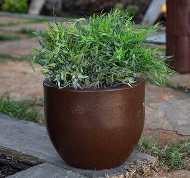 Macetero redondo de color AZALEA 30