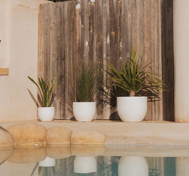 Macetero redondo de color AZALEA 40