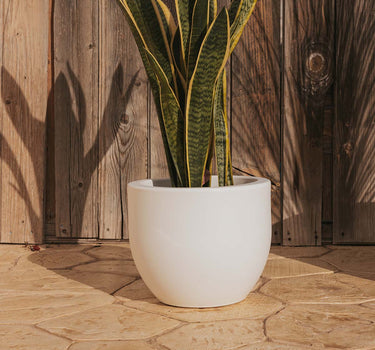 Macetero redondo de color AZALEA 40