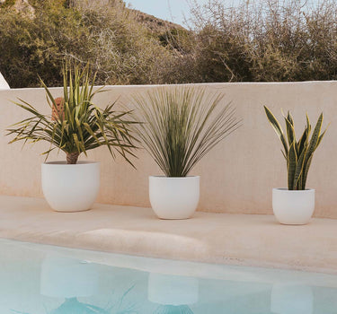 Macetero redondo de color AZALEA 40