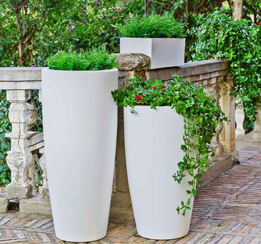 Macetero de color BAMBÚ 70