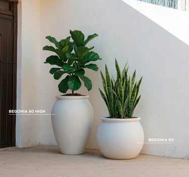 Macetero redondo BEGONIA 80 HIGH