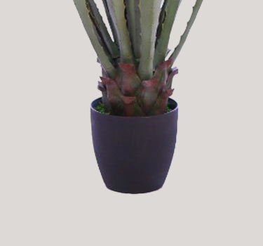 CACTUS AGAVE CON MACETA 103CM