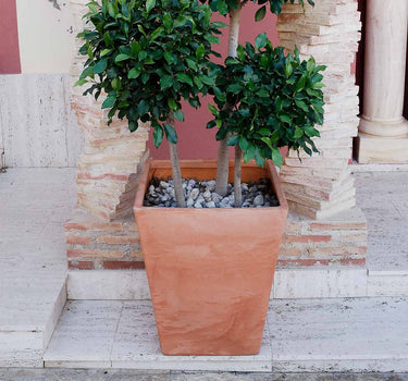 MACETERO CUADRADO CALENDULA 50 RÚSTICO COLOR