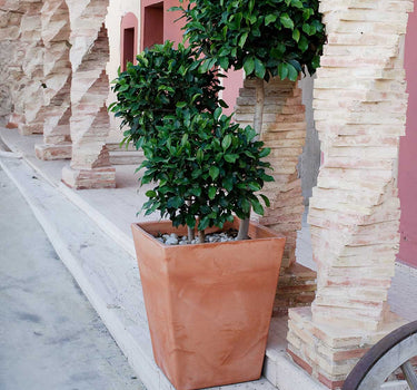 MACETERO CUADRADO CALENDULA 50 RÚSTICO COLOR