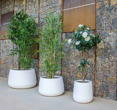 Macetero redondo de color CAMELIA 60