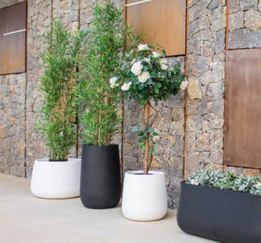 MACETERO REDONDO CAMELIA HIGH COLOR