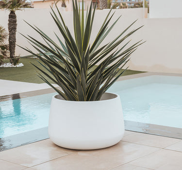 MACETERO LARGO CAMELIA LARGE COLOR