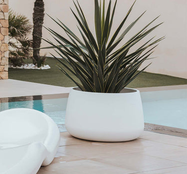 MACETERO REDONDO CAMELIA HIGH COLOR