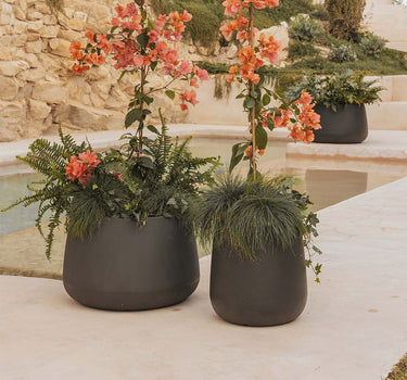 MACETERO REDONDO CAMELIA HIGH COLOR