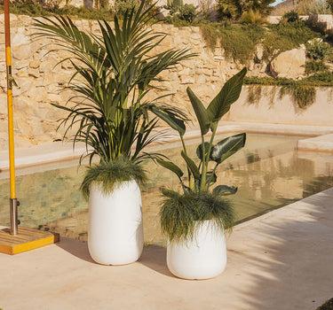 Macetero redondo de color CAMELIA 40