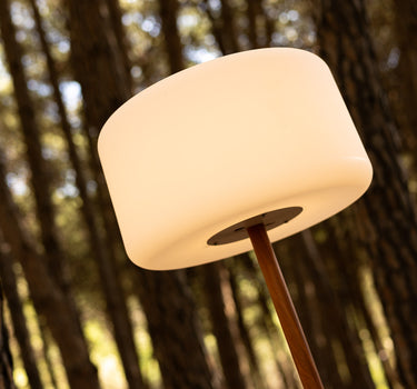 LÁMPARA DE PIE SOLAR REGULABLE CHLOE PLANT