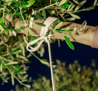 LÁMPARA COLGANTE MINI-CONTA HANG PARA EXTERIOR