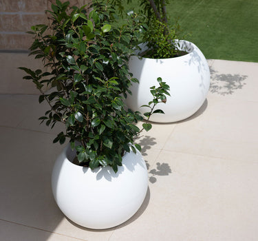 Macetero redondo de color DALIA 30