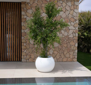 Macetero redondo de color DALIA 30