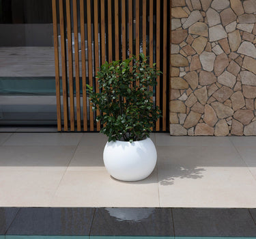 Macetero redondo de color DALIA 30