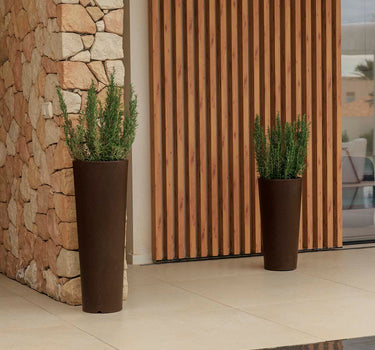Macetero redondo FICUS 60