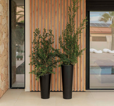 Macetero redondo FICUS 60