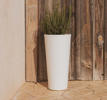 Macetero redondo de color FICUS 60