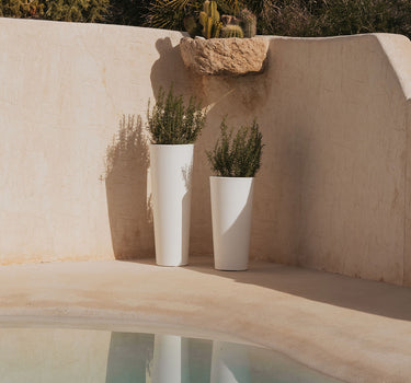 Macetero redondo de color FICUS 60