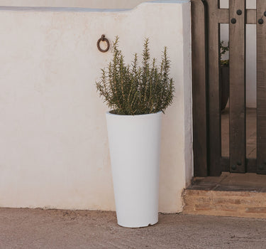 Macetero redondo de color FICUS 60