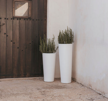 Macetero redondo de color FICUS 80