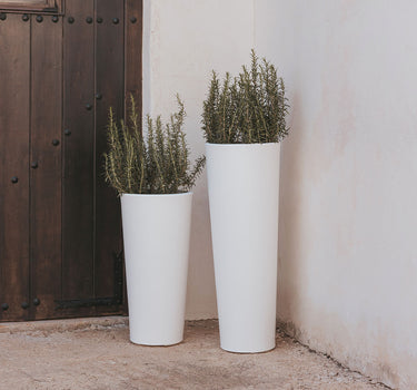 Macetero redondo de color FICUS 60