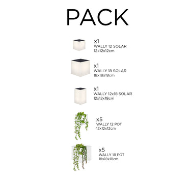 Pack Apliques de Pared Solar WALLY + Maceteros Verticales | Iluminación y Jardín Vertical Sostenible