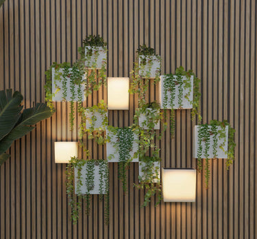 Pack Apliques de Pared Solar WALLY + Maceteros Verticales | Iluminación y Jardín Vertical Sostenible