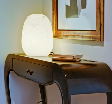 Decoratieve lamp in de vorm van een uil GUFO 40 | Binnen