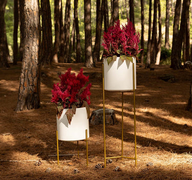 MACETERO DE PIE: SOPORTE LIFT + HORTENSIA 30 BLANCO