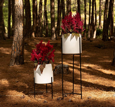 MACETERO DE PIE: SOPORTE LIFT + HORTENSIA 30 BLANCO