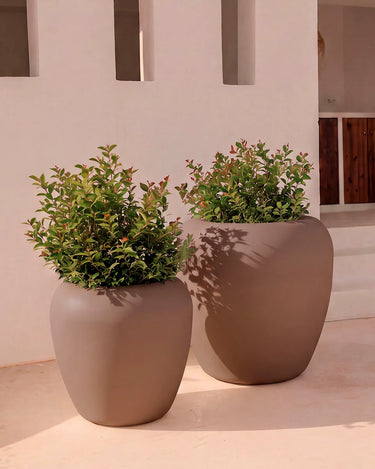 Macetero redondo ARECA - 19