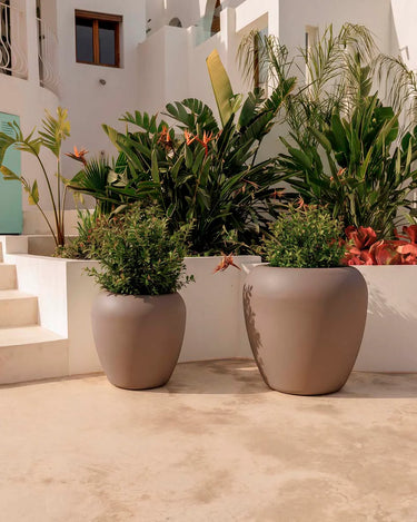 Macetero redondo ARECA - 21