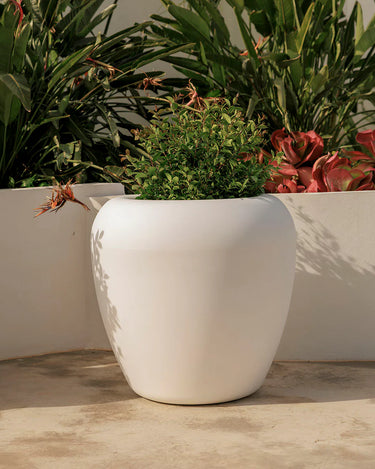 Macetero redondo ARECA - 34