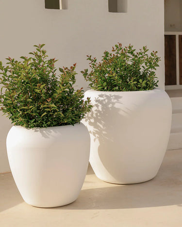 Macetero redondo ARECA - 36