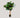 Ficus Lyrata in kunstpot 130cm