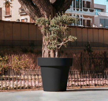 Macetero gigante MAGNOLIA 160CM