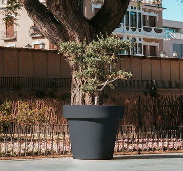 Macetero gigante MAGNOLIA 160CM