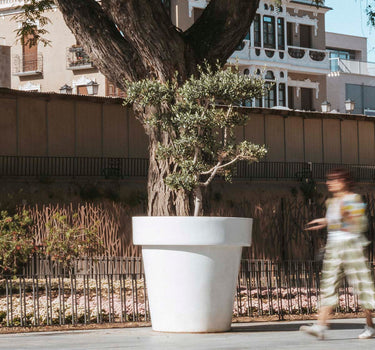 Macetero gigante MAGNOLIA 160CM
