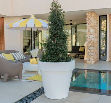 Macetero grande MAGNOLIA 80CM