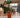 Grote Plantenbak Terracotta Kleur MAGNOLIA 90
