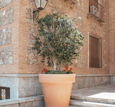 Macetero redondo MAGNOLIA 120 Color Terracota (REACONDICIONADO)