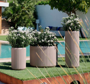 Macetero redondo Maranta 60 x 40