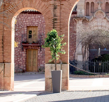 Macetero alto de color MELISA 40